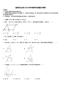 德州市庆云县2025年中考数学考试模拟冲刺卷含解析