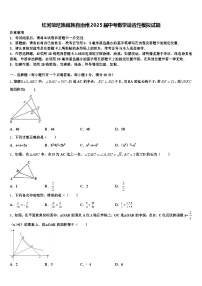 红河哈尼族彝族自治州2025届中考数学适应性模拟试题含解析
