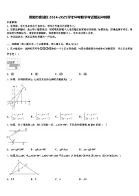 襄阳市襄城区2024-2025学年中考数学考试模拟冲刺卷含解析