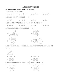 浙江省绍兴市2025年九年级上学期月考数学试题附答案