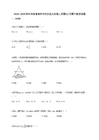 2024_2025学年河南省南阳市内乡县九年级上册11月（期中）数学试题【附答案】