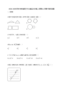 2024_2025学年河南省周口市太康县九年级上册11月（期中）数学试题【附答案】