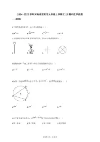 2024_2025学年河南省安阳市九年级上册11月（期中）数学试题【附答案】