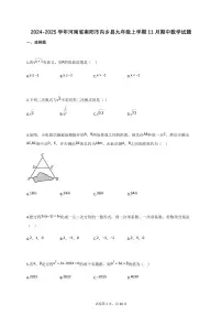 2024_2025学年河南省南阳市内乡县九年级上册11月（期中）数学试题【附答案】