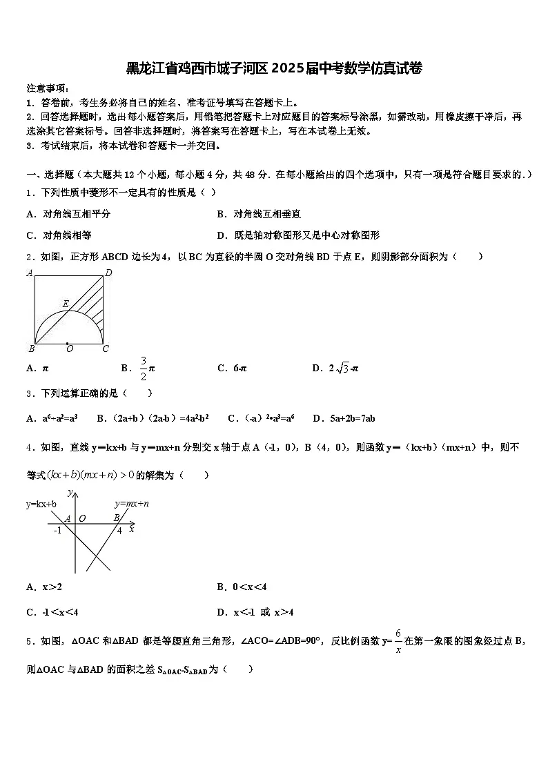 黑龙江省鸡西市城子河区2025届中考数学仿真试卷含解析第1页
