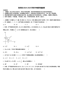 称多县2024-2025学年中考数学猜题卷含解析