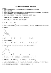 2025届临汾市洪洞县中考二模数学试题含解析