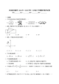 河南省济源市2024年-2025学年七年级下学期期中考试数学试卷(含解析)