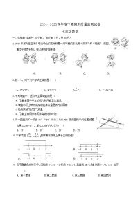 河南省信阳市罗山县2024-2025学年七年级下学期6月期末考试数学试卷