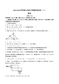 河南省驻马店市泌阳县二校联考2024-2025学年七年级下学期6月月考数学试卷(含答案)