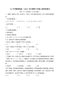 初中数学青岛版(2024)八年级上册(2024)5.4 平方根优秀随堂练习题