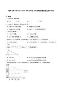 青海省西宁市2024-2025学年七年级下学期期末调研数学试卷(含解析)