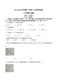 山东省济宁市金乡县2024-2025学年八年级下学期5月月考数学试卷(含答案)