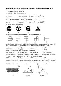 2025年哈尔滨市松雷中学九年级（上）开学数学试卷及答案
