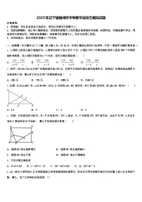 2025年辽宁省锦州市中考数学适应性模拟试题含解析