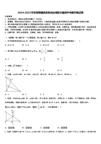 2024-2025学年阿坝藏族羌族自治州若尔盖县中考数学模试卷含解析