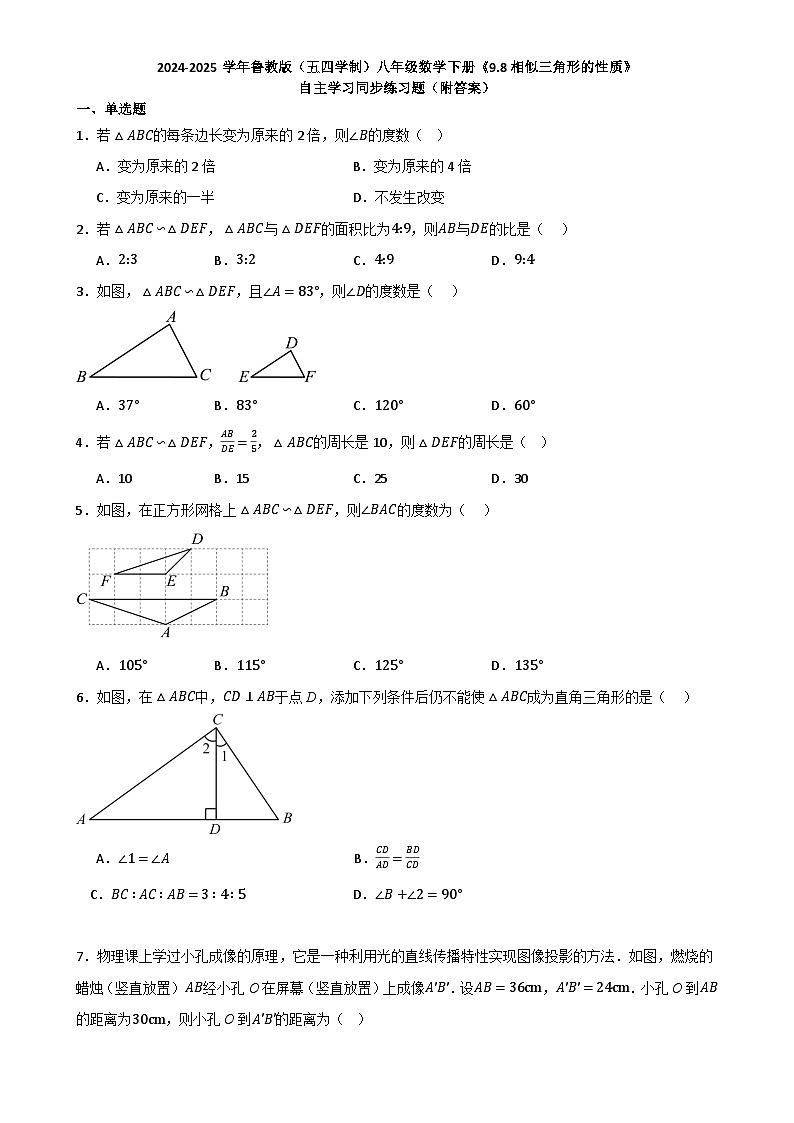 9.8相似三角形的性质 自主学习同步练习题 2024-2025学年鲁教版(五四制)八年级数学下册-A4第1页