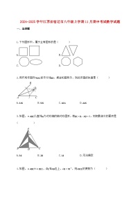 2024_2025学年江苏省宿迁市八年级上学期11月期中考试数学检测试卷（含答案）