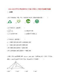 2024_2025学年江苏省泰州市八年级上学期11月期中考试数学检测试卷（含答案）