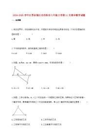 2024_2025学年江苏省镇江市丹阳市八年级上学期11月期中数学检测试卷（含答案）
