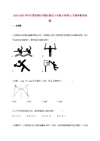 2024_2025学年江苏省镇江市镇江新区八年级上学期11月期中数学检测试卷（含答案）
