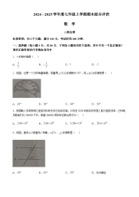 2024-2025学年河南省周口市商水县七年级上学期1月期末数学试卷含答案