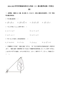 2024-2025学年河南省洛阳市九年级上学期期末数学试卷含答案