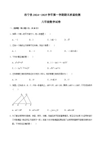 河南省洛阳市洛宁县2024-2025学年第一学期期末质量检测八年级数学试卷含答案