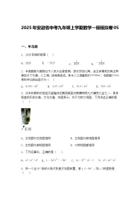 2025年安徽省中考九年级上学期数学一模模拟卷05（含答案解析）