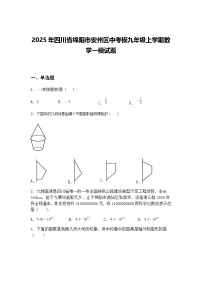 2025年四川省绵阳市安州区中考模九年级上学期数学一模试题（含答案解析）