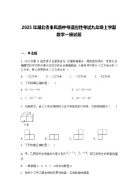 2025年湖北省来凤县中考适应性考试九年级上学期数学一模试题（含答案解析）