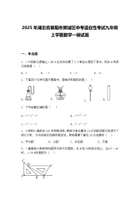 2025年湖北省襄阳市樊城区中考适应性考试九年级上学期数学一模试题（含答案解析）