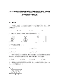 2025年湖北省襄阳市樊城区中考适应性考试九年级上学期数学一模试题(含答案解析)