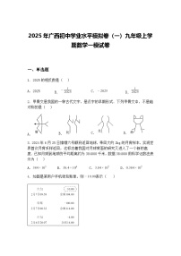 2025年广西初中学业水平模拟卷（一）九年级上学期数学一模试卷（含答案解析）