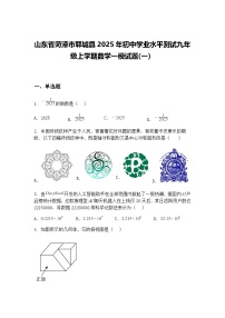 山东省菏泽市郓城县2025年初中学业水平测试九年级上学期数学一模试题(一）（含答案解析）