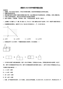 咸阳市2025年中考数学模拟试题含解析