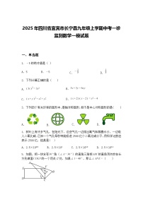 2025年四川省宜宾市长宁县九年级上学期中考一诊监测数学一模试题（含答案解析）