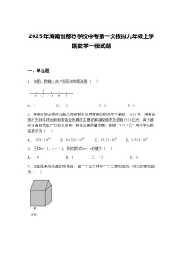 2025年海南省部分学校中考第一次模拟九年级上学期数学一模试题（含答案解析）