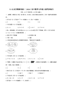 初中数学青岛版（2024）七年级上册（2024）认识方程精品达标测试