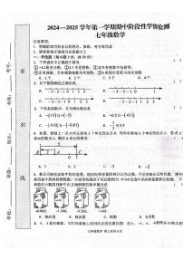 河南省周口市郸城县2024-2025学年上学期期中学情检测七年级数学试卷