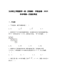 九年级上学期数学一模（河南卷）2025年中考第一次模拟考试（含答案解析）