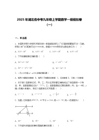 2025年湖北省中考九年级上学期数学一模模拟卷（一）（含答案解析）