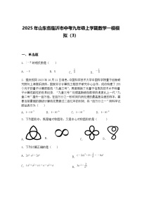 2025年山东省临沂市中考九年级上学期数学一模模拟（3）（含答案解析）