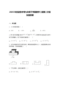 2025年安徽省中考九年级下学期数学二模第二次模拟信息卷(含答案解析)