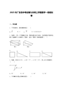 2025年广东省中考试卷九年级上学期数学一模模拟卷（含答案解析）