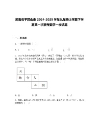 河南省平顶山市2024-2025学年九年级上学期下学期第一次联考数学一模试题（含答案解析）