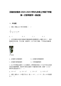 河南省安阳市2024-2025学年九年级上学期下学期第一次联考数学一模试题（含答案解析）