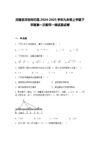 河南省开封市杞县2024-2025学年九年级上学期下学期第一次数学一模试题试卷（含答案解析）