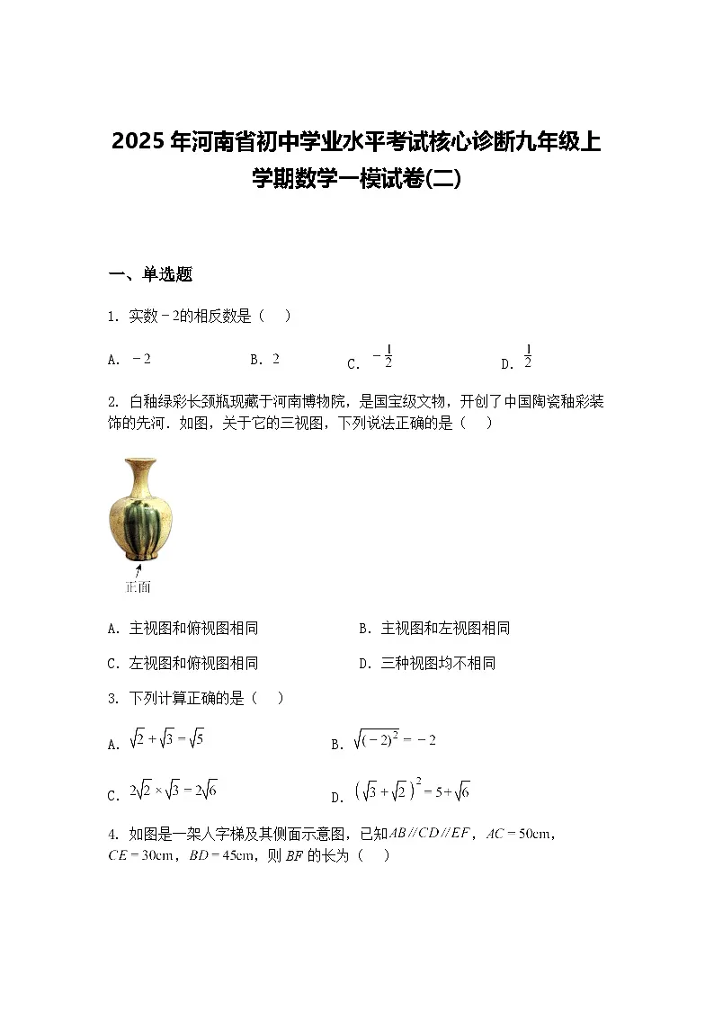 2025年河南省初中学业水平考试核心诊断九年级上学期数学一模试卷(二)(含答案解析)第1页