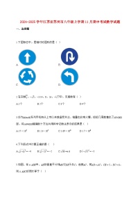 2024_2025学年江苏省苏州市八年级上册（11月）期中考试数学试题【附答案】
